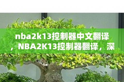 nba2k13控制器中文翻译,NBA2K13控制器翻译,深度解析与优化指南 nba2k13控制器中文翻译,NBA2K13控制器翻译,深度解析与优化指南