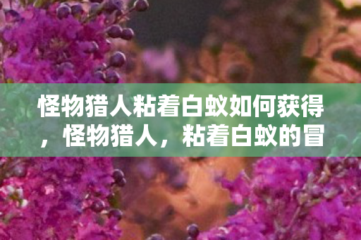 怪物猎人粘着白蚁如何获得,怪物猎人,粘着白蚁的冒险之旅 怪物猎人粘着白蚁如何获得,怪物猎人,粘着白蚁的冒险之旅