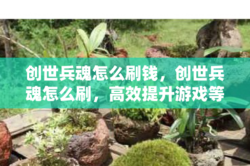 创世兵魂怎么刷钱,创世兵魂怎么刷,高效提升游戏等级与战斗力的策略指南 创世兵魂怎么刷钱,创世兵魂怎么刷,高效提升游戏等级与战斗力的策略指南