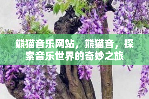 熊猫音乐网站,熊猫音,探索音乐世界的奇妙之旅 熊猫音乐网站,熊猫音,探索音乐世界的奇妙之旅
