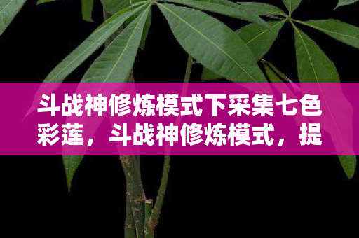 斗战神修炼模式下采集七色彩莲,斗战神修炼模式,提升角色实力的关键途径 斗战神修炼模式下采集七色彩莲,斗战神修炼模式,提升角色实力的关键途径