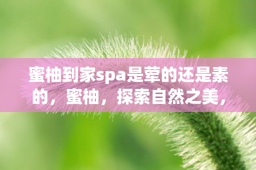 蜜柚到家spa是荤的还是素的，蜜柚，探索自然之美，品味健康生活的甜蜜选择