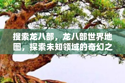 搜索龙八部,龙八部世界地图,探索未知领域的奇幻之旅 搜索龙八部,龙八部世界地图,探索未知领域的奇幻之旅