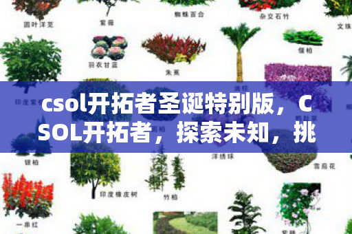 csol开拓者圣诞特别版，CSOL开拓者，探索未知，挑战极限