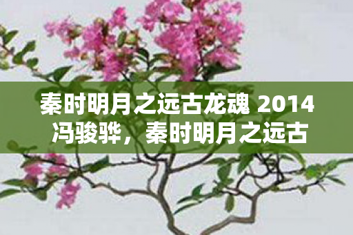 秦时明月之远古龙魂 2014 冯骏骅,秦时明月之远古龙魂,探寻古老传说中的神秘力量 秦时明月之远古龙魂 2014 冯骏骅,秦时明月之远古龙魂,探寻古老传说中的神秘力量