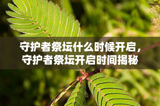 守护者祭坛什么时候开启,守护者祭坛开启时间揭秘 守护者祭坛什么时候开启,守护者祭坛开启时间揭秘