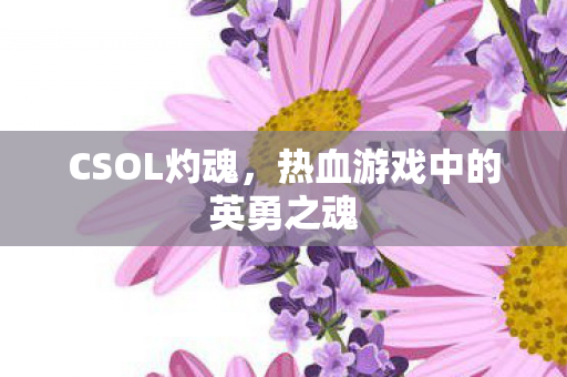 CSOL灼魂,热血游戏中的英勇之魂 CSOL灼魂,热血游戏中的英勇之魂