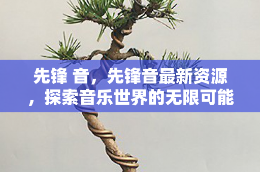 先锋 音，先锋音最新资源，探索音乐世界的无限可能