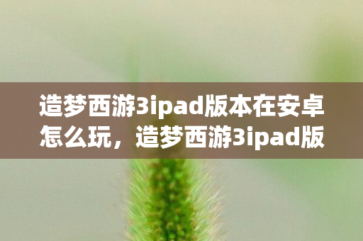 造梦西游3ipad版本在安卓怎么玩，造梦西游3ipad版，经典再现，掌中畅游