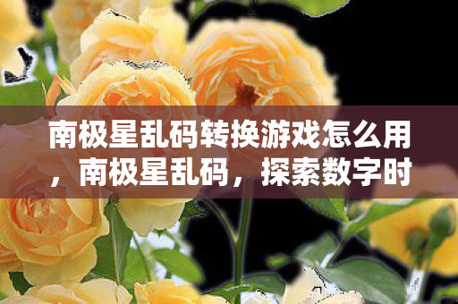 南极星乱码转换游戏怎么用，南极星乱码，探索数字时代的神秘编码