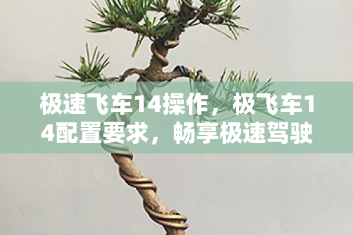 极速飞车14操作,极飞车14配置要求,畅享极速驾驶体验 极速飞车14操作,极飞车14配置要求,畅享极速驾驶体验
