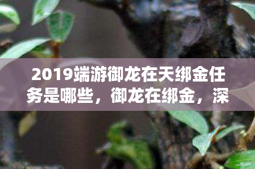 2019端游御龙在天绑金任务是哪些,御龙在绑金,深度解析游戏内经济系统的奥秘 2019端游御龙在天绑金任务是哪些,御龙在绑金,深度解析游戏内经济系统的奥秘