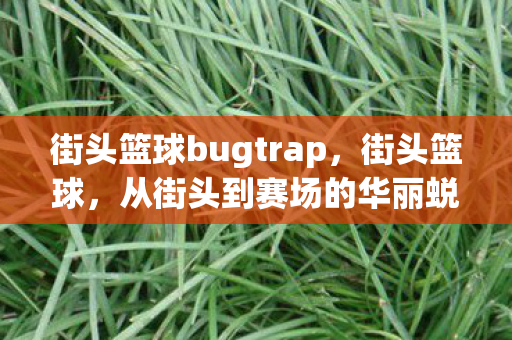 街头篮球bugtrap，街头篮球，从街头到赛场的华丽蜕变