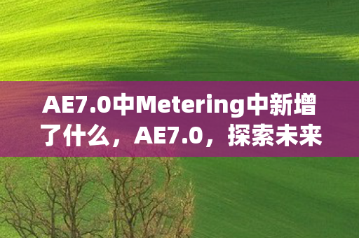 AE7.0中Metering中新增了什么，AE7.0，探索未来游戏引擎的无限可能