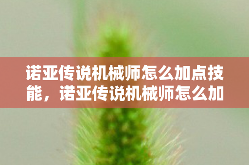 诺亚传说机械师怎么加点技能，诺亚传说机械师怎么加点