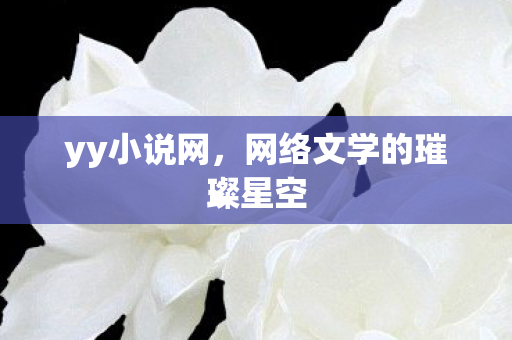 yy小说网，网络文学的璀璨星空