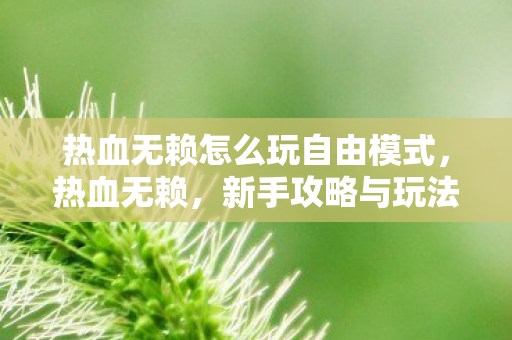 热血无赖怎么玩自由模式,热血无赖,新手攻略与玩法指南 热血无赖怎么玩自由模式,热血无赖,新手攻略与玩法指南