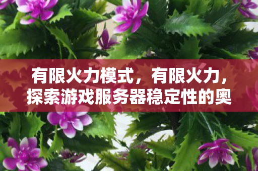 有限火力模式，有限火力，探索游戏服务器稳定性的奥秘