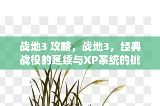 战地3 攻略,战地3,经典战役的延续与XP系统的挑战 战地3 攻略,战地3,经典战役的延续与XP系统的挑战