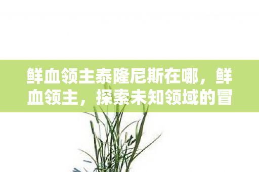 鲜血领主泰隆尼斯在哪，鲜血领主，探索未知领域的冒险之旅