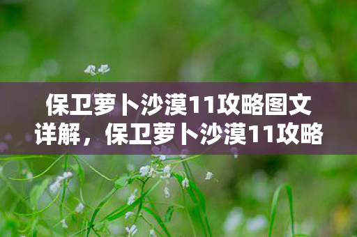 保卫萝卜沙漠11攻略图文详解,保卫萝卜沙漠11攻略,打造完美防御,轻松过关! 保卫萝卜沙漠11攻略图文详解,保卫萝卜沙漠11攻略,打造完美防御,轻松过关!