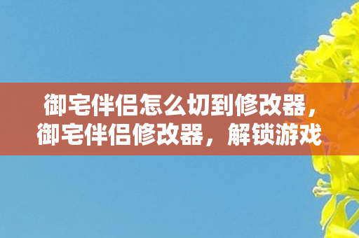 御宅伴侣怎么切到修改器,御宅伴侣修改器,解锁游戏新体验,合法合规的娱乐选择 御宅伴侣怎么切到修改器,御宅伴侣修改器,解锁游戏新体验,合法合规的娱乐选择