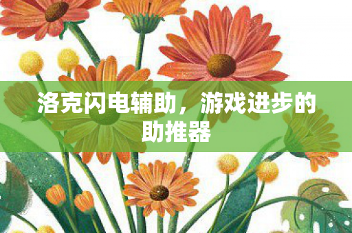 洛克闪电辅助,游戏进步的助推器 洛克闪电辅助,游戏进步的助推器