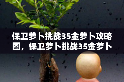 保卫萝卜挑战35金萝卜攻略图,保卫萝卜挑战35金萝卜攻略 保卫萝卜挑战35金萝卜攻略图,保卫萝卜挑战35金萝卜攻略