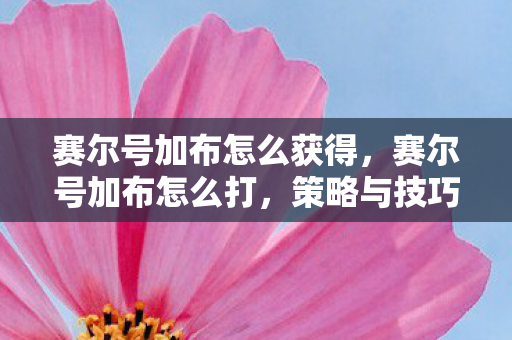 赛尔号加布怎么获得,赛尔号加布怎么打,策略与技巧详解 赛尔号加布怎么获得,赛尔号加布怎么打,策略与技巧详解