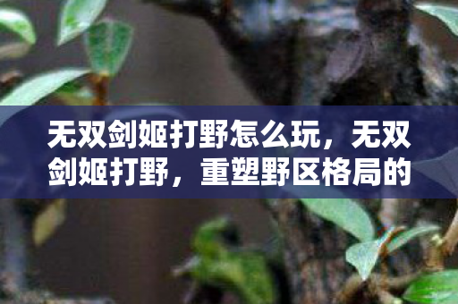 无双剑姬打野怎么玩，无双剑姬打野，重塑野区格局的刀锋舞者