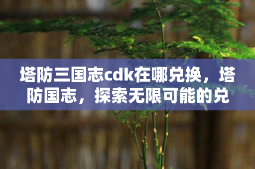塔防三国志cdk在哪兑换,塔防国志,探索无限可能的兑换之旅 塔防三国志cdk在哪兑换,塔防国志,探索无限可能的兑换之旅