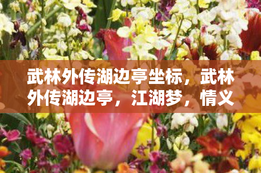 武林外传湖边亭坐标，武林外传湖边亭，江湖梦，情义长