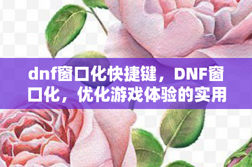 dnf窗口化快捷键,DNF窗口化,优化游戏体验的实用指南 dnf窗口化快捷键,DNF窗口化,优化游戏体验的实用指南