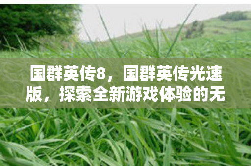 国群英传8,国群英传光速版,探索全新游戏体验的无限可能 国群英传8,国群英传光速版,探索全新游戏体验的无限可能