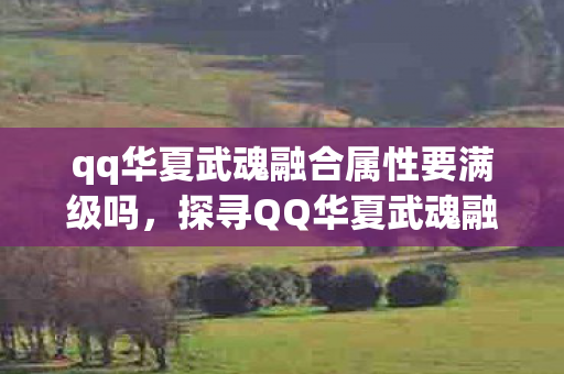 qq华夏武魂融合属性要满级吗，探寻QQ华夏武魂融合的奥秘，解锁游戏新境界