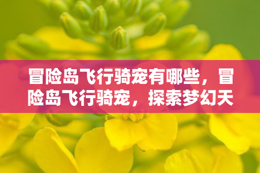 冒险岛飞行骑宠有哪些,冒险岛飞行骑宠,探索梦幻天空的奇妙之旅 冒险岛飞行骑宠有哪些,冒险岛飞行骑宠,探索梦幻天空的奇妙之旅