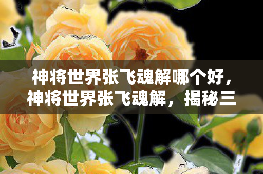 神将世界张飞魂解哪个好，神将世界张飞魂解，揭秘三国猛将的武魂奥秘