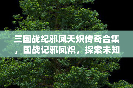 三国战纪邪凤天炽传奇合集，国战记邪凤炽，探索未知世界的奇幻之旅