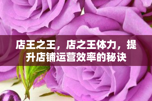 店王之王,店之王体力,提升店铺运营效率的秘诀 店王之王,店之王体力,提升店铺运营效率的秘诀