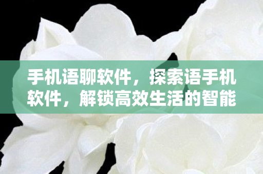 手机语聊软件,探索语手机软件,解锁高效生活的智能工具 手机语聊软件,探索语手机软件,解锁高效生活的智能工具