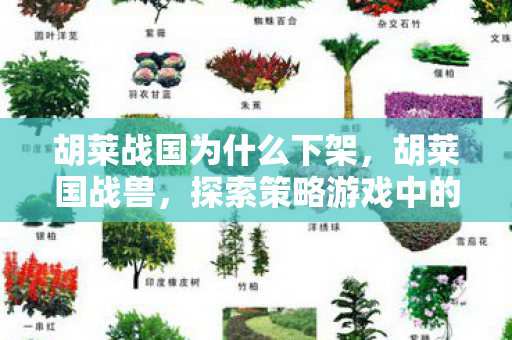 胡莱战国为什么下架,胡莱国战兽,探索策略游戏中的智慧与激情 胡莱战国为什么下架,胡莱国战兽,探索策略游戏中的智慧与激情