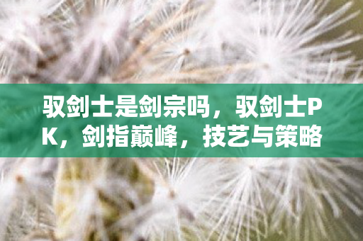 驭剑士是剑宗吗，驭剑士PK，剑指巅峰，技艺与策略的较量