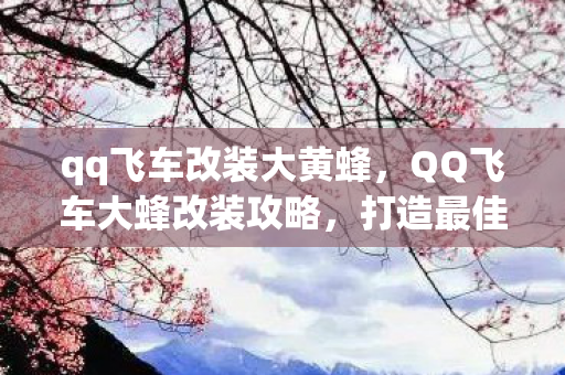 qq飞车改装大黄蜂,QQ飞车大蜂改装攻略,打造最佳性能 qq飞车改装大黄蜂,QQ飞车大蜂改装攻略,打造最佳性能
