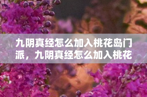 九阴真经怎么加入桃花岛门派,九阴真经怎么加入桃花岛 九阴真经怎么加入桃花岛门派,九阴真经怎么加入桃花岛
