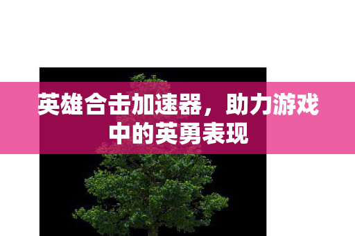 英雄合击加速器,助力游戏中的英勇表现 英雄合击加速器,助力游戏中的英勇表现