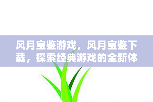风月宝鉴游戏,风月宝鉴下载,探索经典游戏的全新体验 风月宝鉴游戏,风月宝鉴下载,探索经典游戏的全新体验