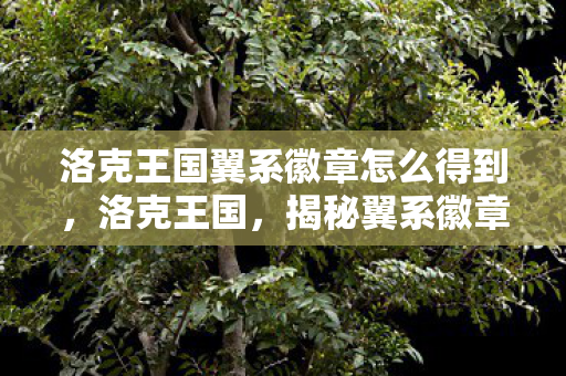 洛克王国翼系徽章怎么得到,洛克王国,揭秘翼系徽章获取攻略 洛克王国翼系徽章怎么得到,洛克王国,揭秘翼系徽章获取攻略