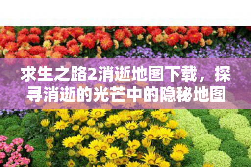 求生之路2消逝地图下载,探寻消逝的光芒中的隐秘地图,求生之路2的未知领域 求生之路2消逝地图下载,探寻消逝的光芒中的隐秘地图,求生之路2的未知领域