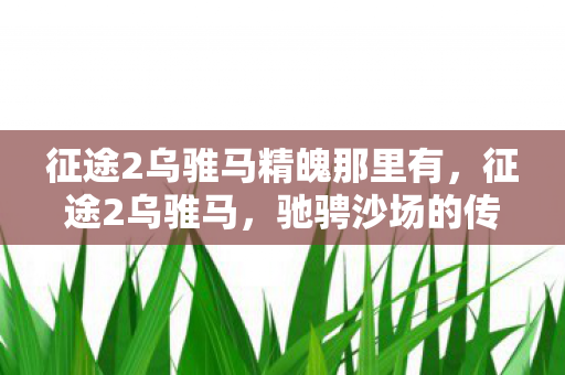 征途2乌骓马精魄那里有,征途2乌骓马,驰骋沙场的传奇战马 征途2乌骓马精魄那里有,征途2乌骓马,驰骋沙场的传奇战马