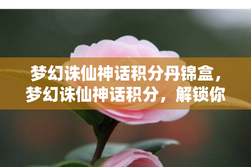 梦幻诛仙神话积分丹锦盒,梦幻诛仙神话积分,解锁你的游戏新境界 梦幻诛仙神话积分丹锦盒,梦幻诛仙神话积分,解锁你的游戏新境界